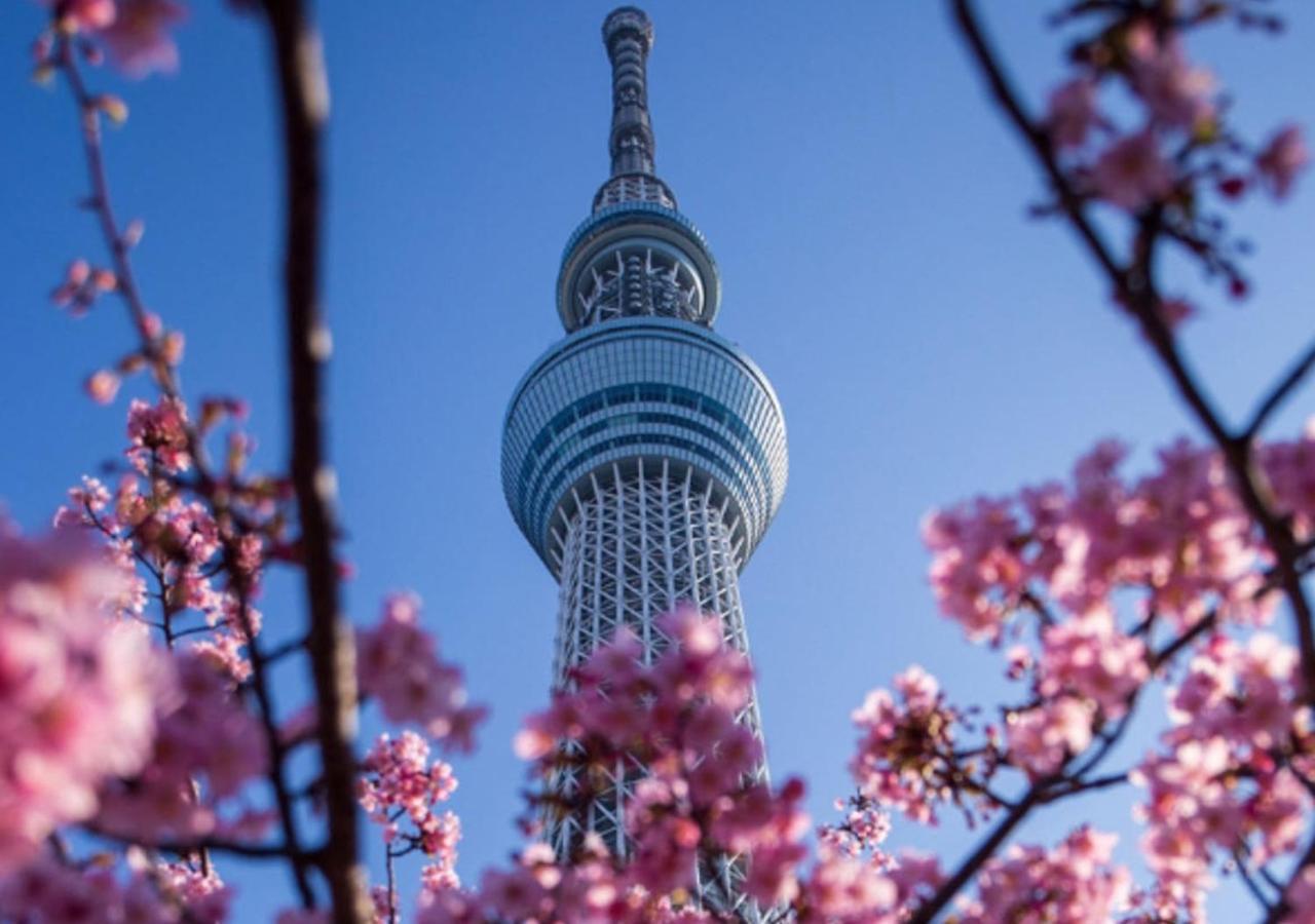 Japan House Oshiage Apartment Tokyo Ngoại thất bức ảnh